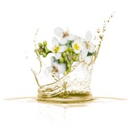 Αβησσυνία Λάδι 